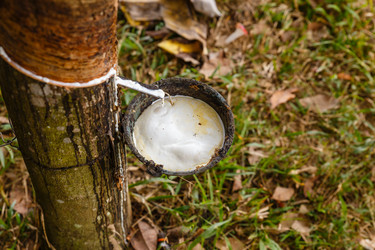 Similar image 21333118