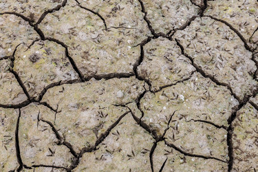 Similar image 21333122