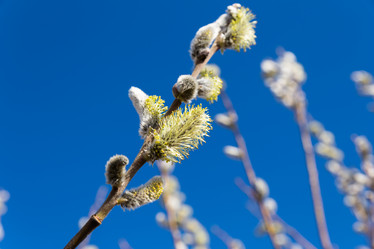 Similar image 21333144