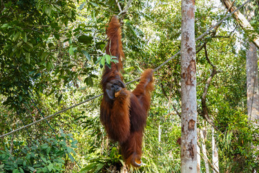 Similar image 21333093