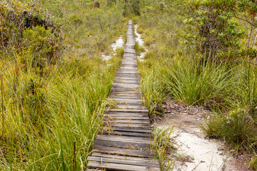 Similar image 21332729