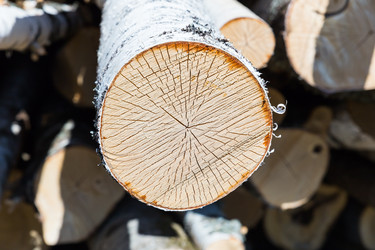 Similar image 21332732