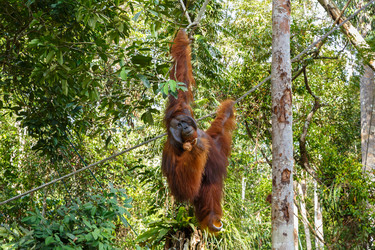 Similar image 21332743