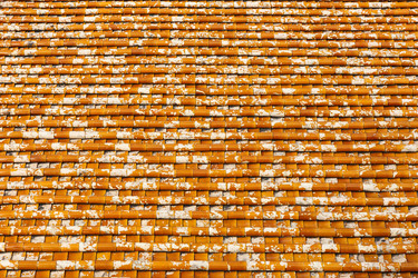 Similar image 21332758