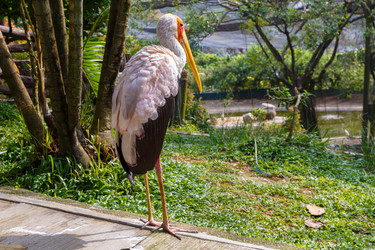 Similar image 21332775