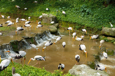 Similar image 21332778