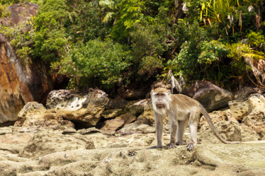 Similar image 21332619