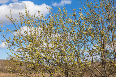 Similar image 21332630