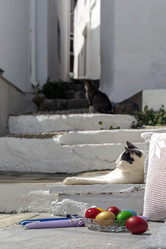 Similar image 21336973