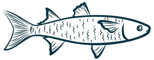 Similar image 21339122