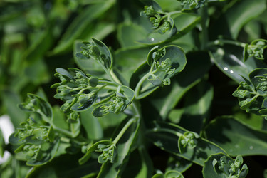 Similar image 21340691