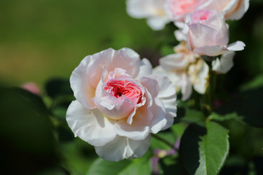 Similar image 21340692