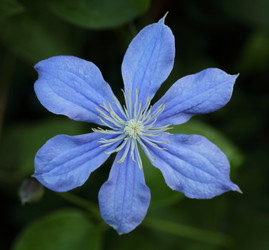 Similar image 21340694