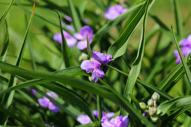 Similar image 21340696