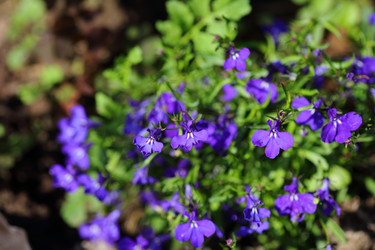 Similar image 21340697