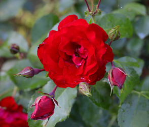 Similar image 21334897