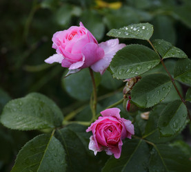 Similar image 21340698