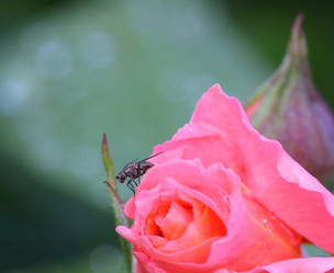 Similar image 21334954