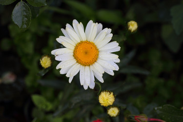 Similar image 21340702