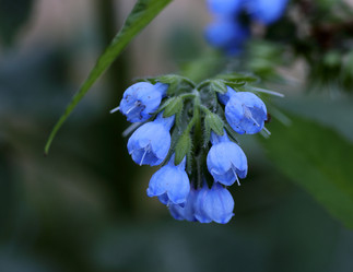 Similar image 21340703