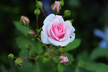 Similar image 21334957