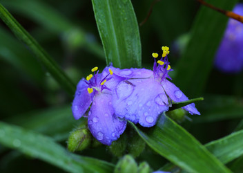 Similar image 21340705