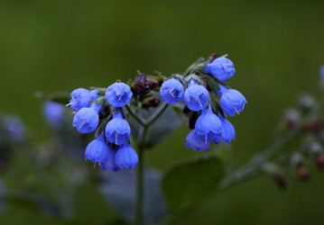 Similar image 21340706