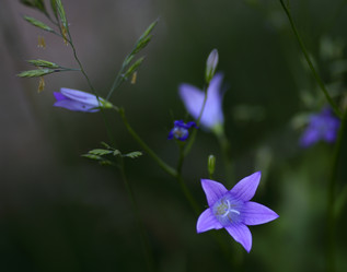 Similar image 21339989