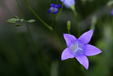 Similar image 21339990