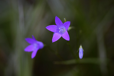 Similar image 21339991