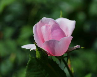 Similar image 21340711