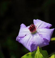 Similar image 21339992