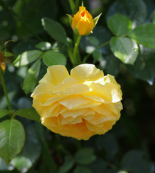 Similar image 21334958