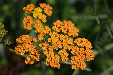 Similar image 21340713