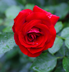 Similar image 21334959