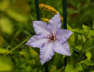 Similar image 21339993