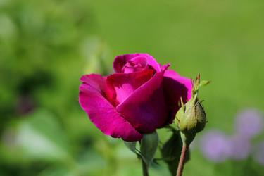 Similar image 21340714