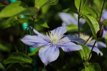 Similar image 21339994