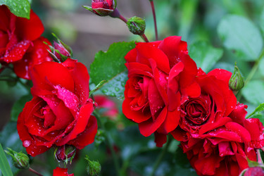 Similar image 21334960