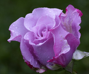 Similar image 21334961