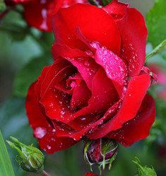 Similar image 21334963