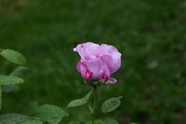 Similar image 21334964