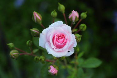 Similar image 21334966