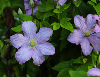 Similar image 21339996