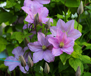 Similar image 21340716