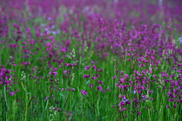 Similar image 21340717