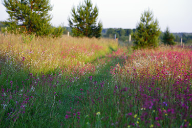 Similar image 21340718