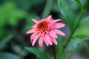 Similar image 21340719