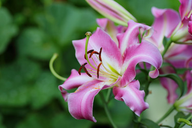 Similar image 21339997