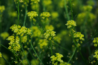 Similar image 21340720